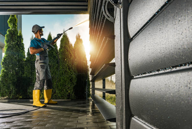 Best Concrete Pressure Washing  in Lake Odessa, MI