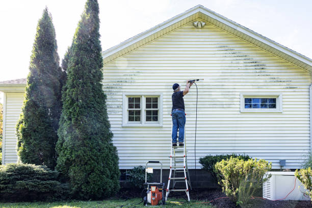 Best House Pressure Washing  in Lake Odessa, MI