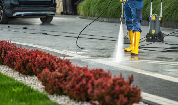 Best Pressure Washing Company Near Me  in Lake Odessa, MI