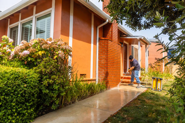 Best Fence Pressure Washing  in Lake Odessa, MI