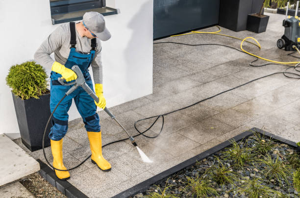 Best Deck Pressure Washing  in Lake Odessa, MI