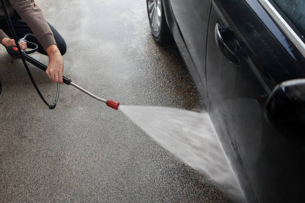 Best Best Pressure Washing Companies  in Lake Odessa, MI