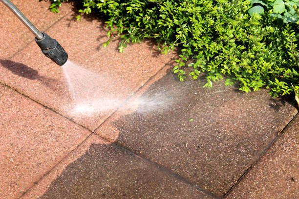 Best Roof Power Washing Services  in Lake Odessa, MI